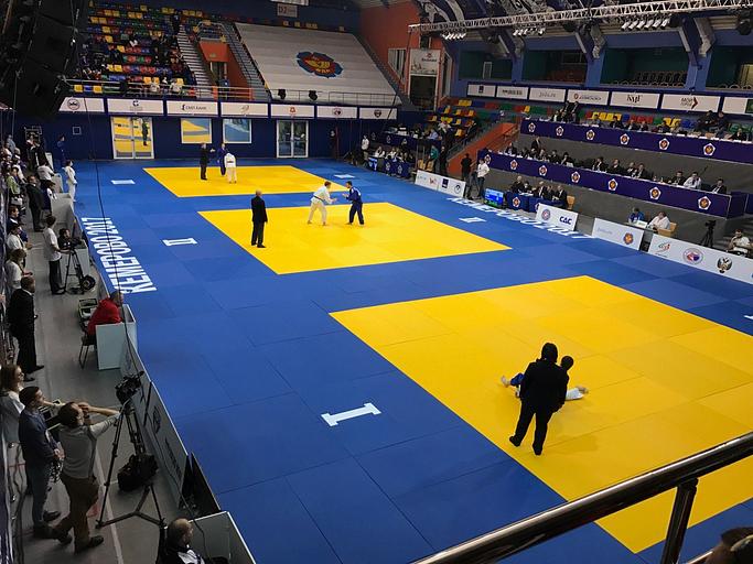Татами Great Fight 1×2 м, 4 см, с покрытием JUDO-ткань, дно открыто, опт фото 3