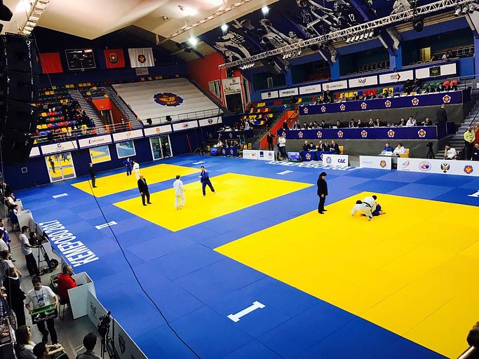 Татами Great Fight 1×2 м, 4 см, с покрытием JUDO-ткань, дно закрыто Антислипом, опт фото 1