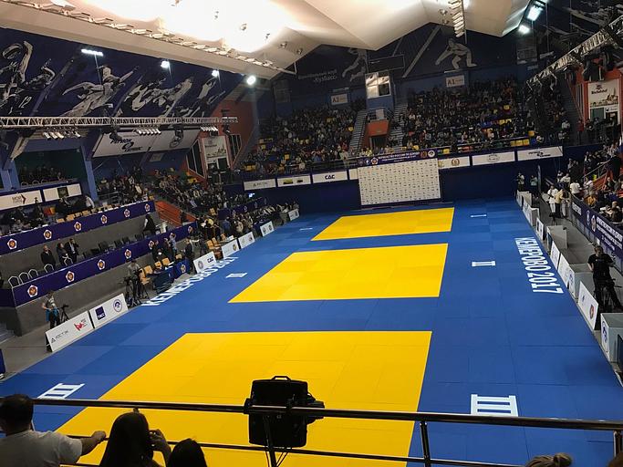 Татами Great Fight 1×2 м, 5 см, с покрытием JUDO-ткань, дно закрыто Антислипом, опт фото 2