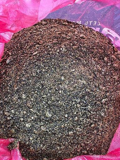 Шрот рапсовый фото 1