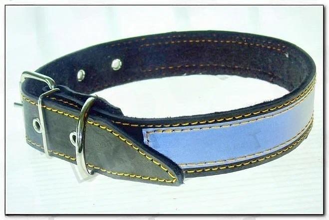 Ошейник №30, однослойный, натуральная кожа на синтепоне, светоотражающий ОПТ фото 1