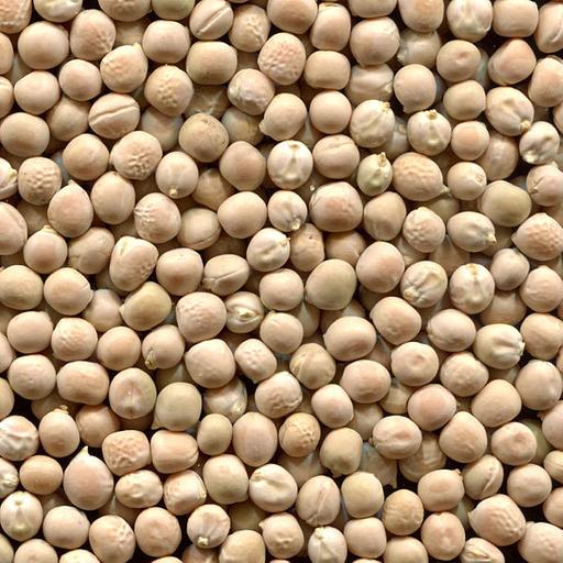 Горох урожая 2023 года фото 1