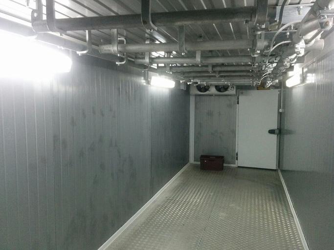 Мобильная модульная бойня для мелкого рогатого скота Мила фото 2