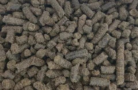 Жмых льняной, прот. 37% фото 1