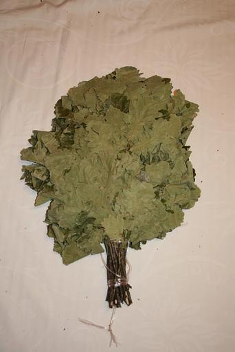 Веник Кавказский дуб ОПТ фото 2