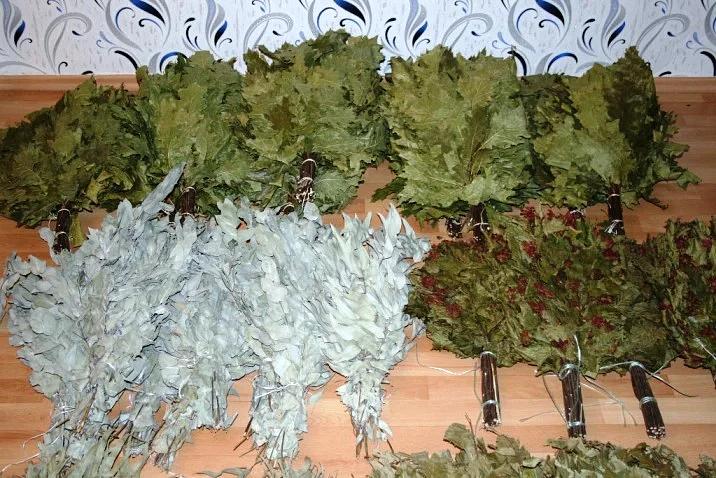 Веник Кавказский дуб ОПТ фото 3