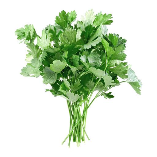 Петрушка свежая фото 1