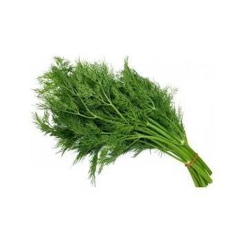 Свежий укроп фото 1
