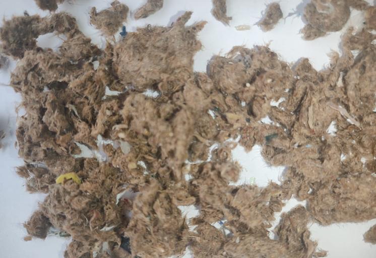 Вторичная целлюлоза фото 3