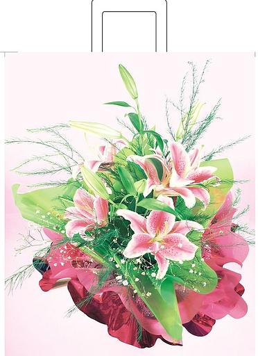 Пакеты с петлевой ручкой, опт фото 1