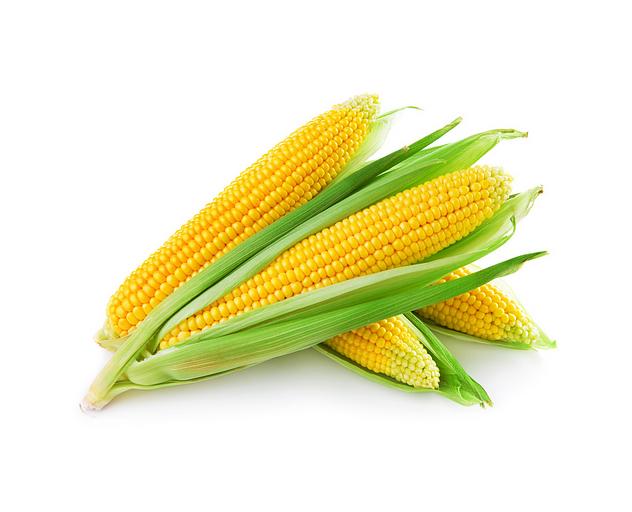 Кукуруза свежая фото 1