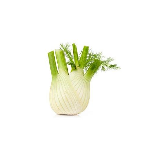 Фенхель свежий фото 1