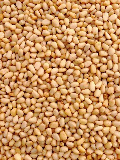 Кедровый орех очищенный жаренный ОПТ фото 1