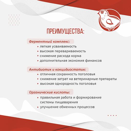 Полнорационный комбикорм для цыплят «УБОЙНЫЙ КОРМ» фото 3