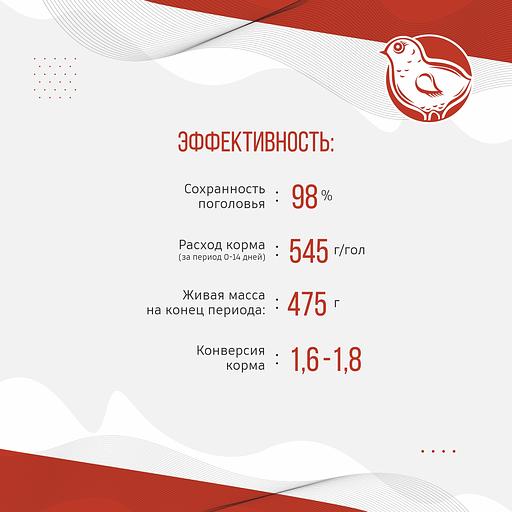 Полнорационный комбикорм для цыплят «УБОЙНЫЙ КОРМ» фото 5
