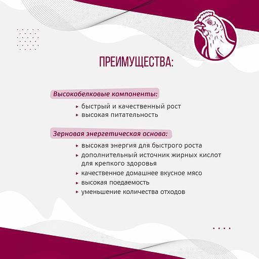 Полнорационный комбикорм для бройлеров «УБОЙНЫЙ КОРМ» фото 3