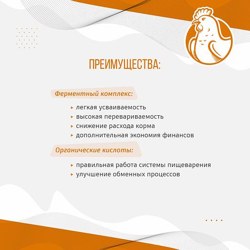 Полнорационный комбикорм для кур-несушек «УБОЙНЫЙ КОРМ» фото 2