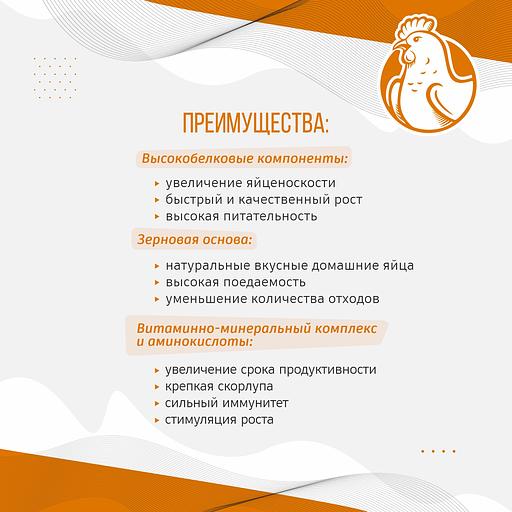 Полнорационный комбикорм для кур-несушек «УБОЙНЫЙ КОРМ» фото 4