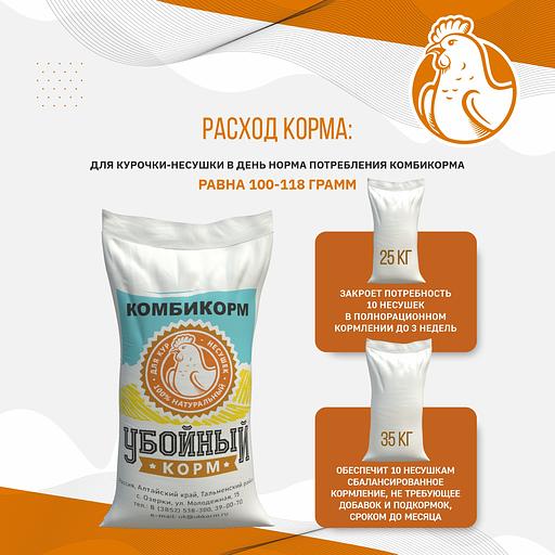 Полнорационный комбикорм для кур-несушек «УБОЙНЫЙ КОРМ» фото 5