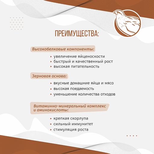 Полнорационный комбикорм для перепелов «УБОЙНЫЙ КОРМ» фото 2