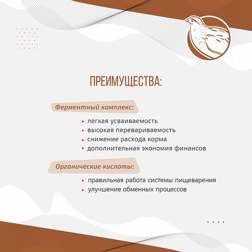 Полнорационный комбикорм для перепелов «УБОЙНЫЙ КОРМ» фото 3