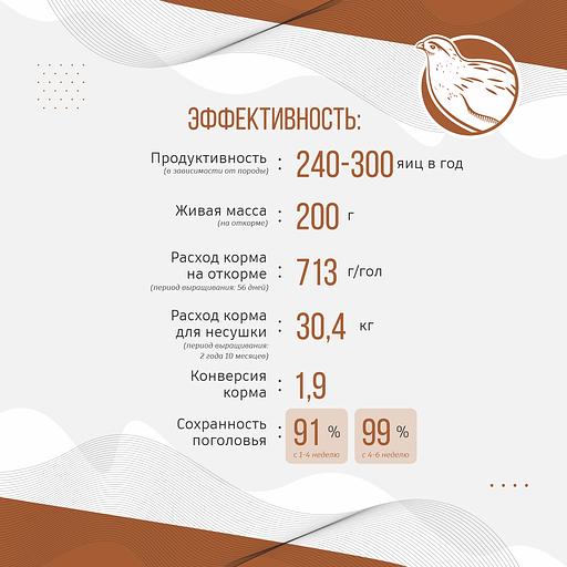 Полнорационный комбикорм для перепелов «УБОЙНЫЙ КОРМ» фото 5