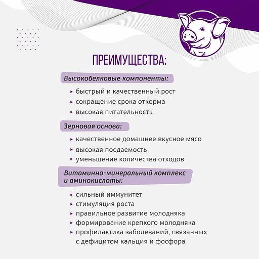 Полнорационный комбикорм для поросят «УБОЙНЫЙ КОРМ» фото 2