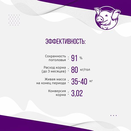 Полнорационный комбикорм для поросят «УБОЙНЫЙ КОРМ» фото 6