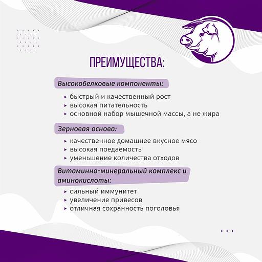 Полнорационный комбикорм для свиней «УБОЙНЫЙ КОРМ» фото 3