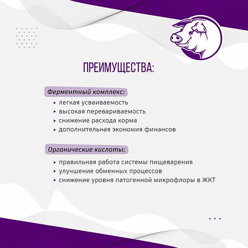 Полнорационный комбикорм для свиней «УБОЙНЫЙ КОРМ» фото 4