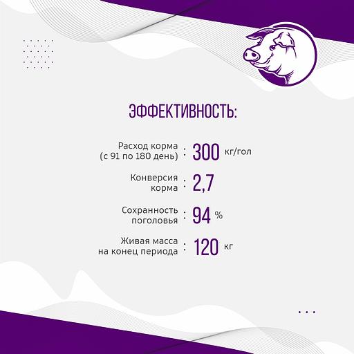 Полнорационный комбикорм для свиней «УБОЙНЫЙ КОРМ» фото 6