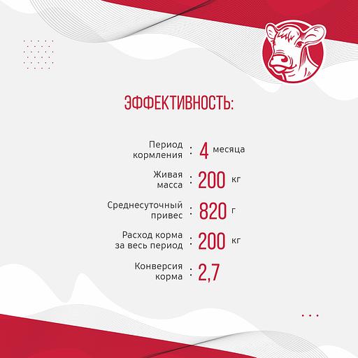 Комбикорм для телят «УБОЙНЫЙ КОРМ» фото 6