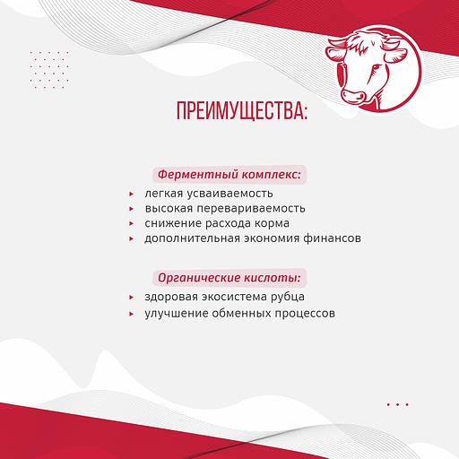 Комбикорм для дойных коров «УБОЙНЫЙ КОРМ» фото 4