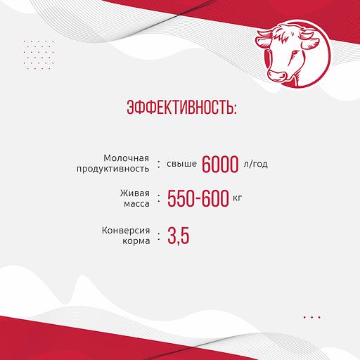 Комбикорм для дойных коров «УБОЙНЫЙ КОРМ» фото 6