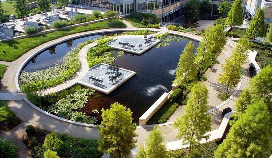 Благоустройство территорий от питомника AXKZ в г. Алматы фото 1