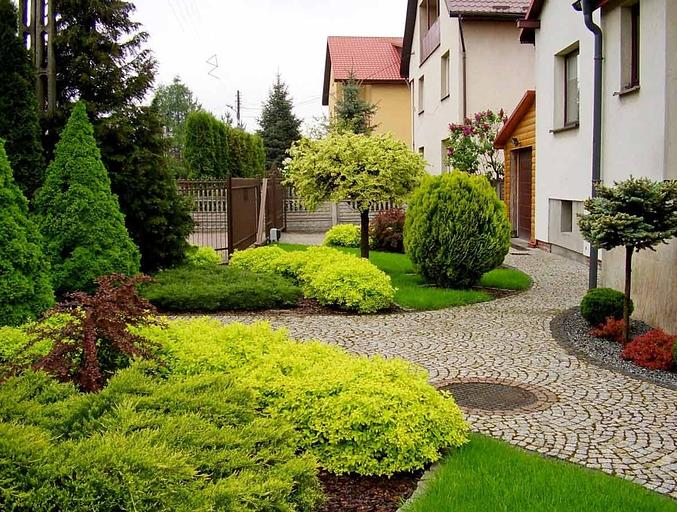 Благоустройство территорий от питомника AXKZ в г. Алматы фото 2