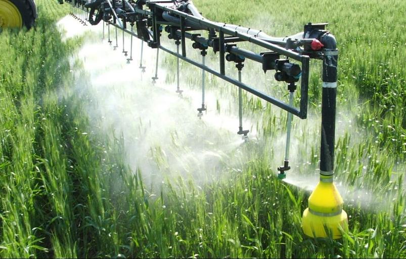 Благоустройство территорий от питомника AXKZ в г. Алматы фото 3