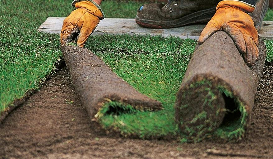 Благоустройство территорий от питомника AXKZ в г. Алматы фото 4