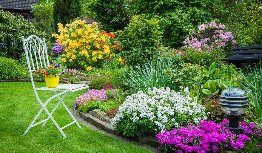 Благоустройство территорий от питомника AXKZ в г. Алматы фото 9