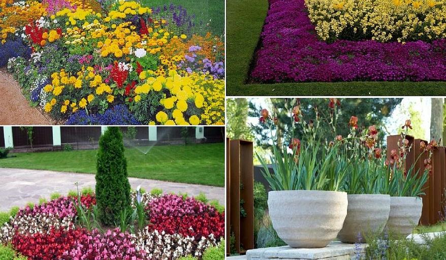 Благоустройство территорий от питомника AXKZ в г. Алматы фото 10