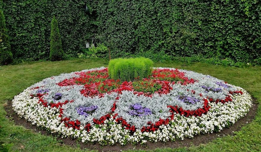 Озеленение территорий от питомника AXKZ в г. Алматы фото 5