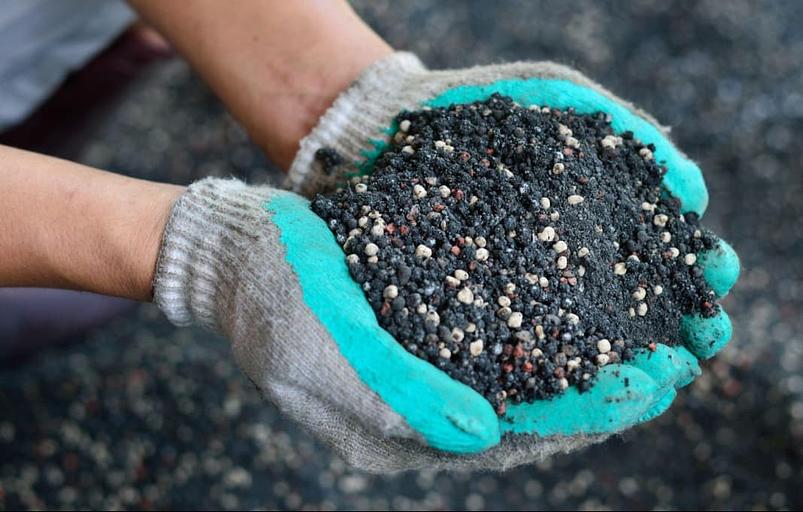 Озеленение территорий от питомника AXKZ в г. Алматы фото 6