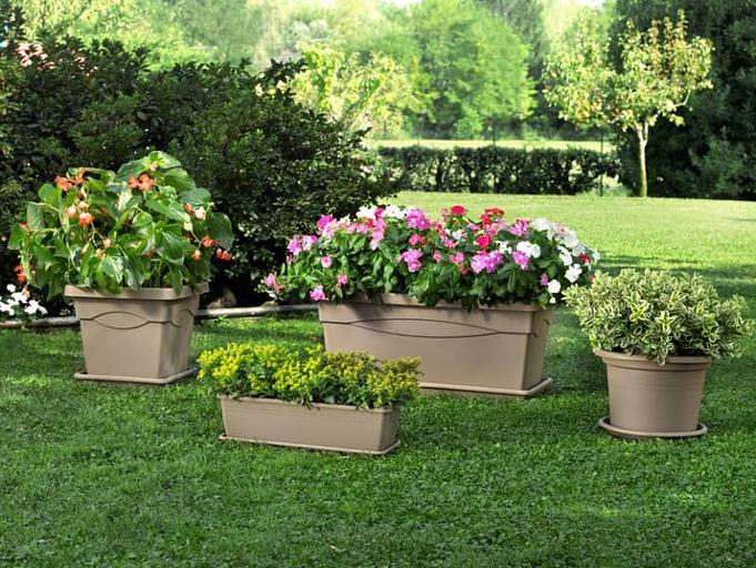 Озеленение территорий от питомника AXKZ в г. Алматы фото 8