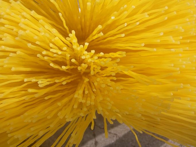 Диск щёточный п/п 120/550 мм (Билайн) ОПТ фото 2