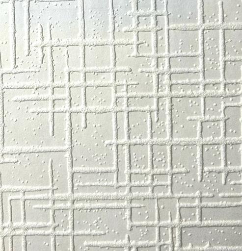 Обои ESDM «871123» Silk под покраску фото 1