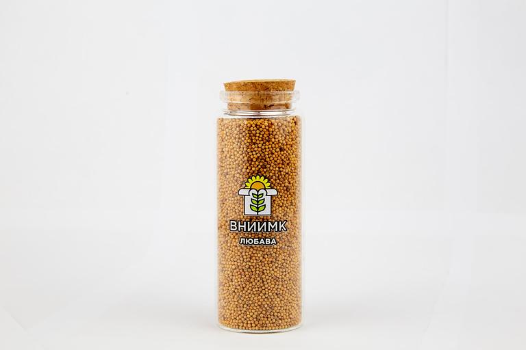 Семена горчицы озимой ВНИИМК сорт Джуна фото 1