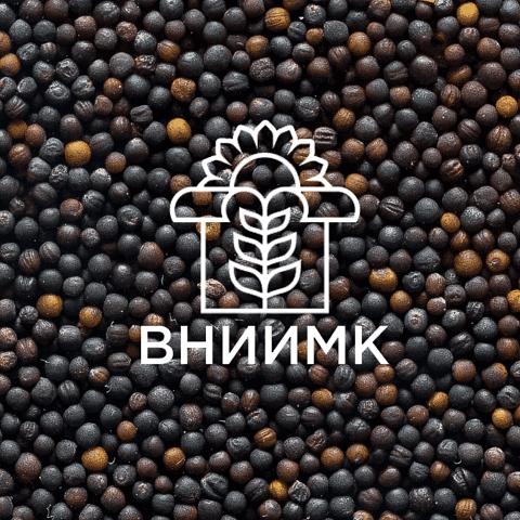Семена рапса озимого ВНИИМК сорт Оливин фото 1