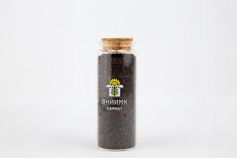 Семена рапса озимого ВНИИМК сорт Элвис фото 1