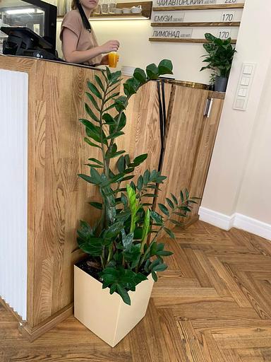 Деревянный интерьер для кафе/ресторанов фото 6