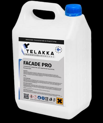 Средство от высолов на кирпиче, на бетоне, на тротуарной плитке, на брусчатке усиленное TELAKKA FACADE PRO 10л фото 1
